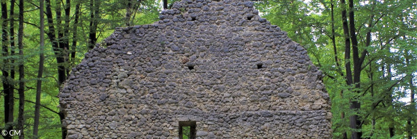 Ruine am Hl. Bühl